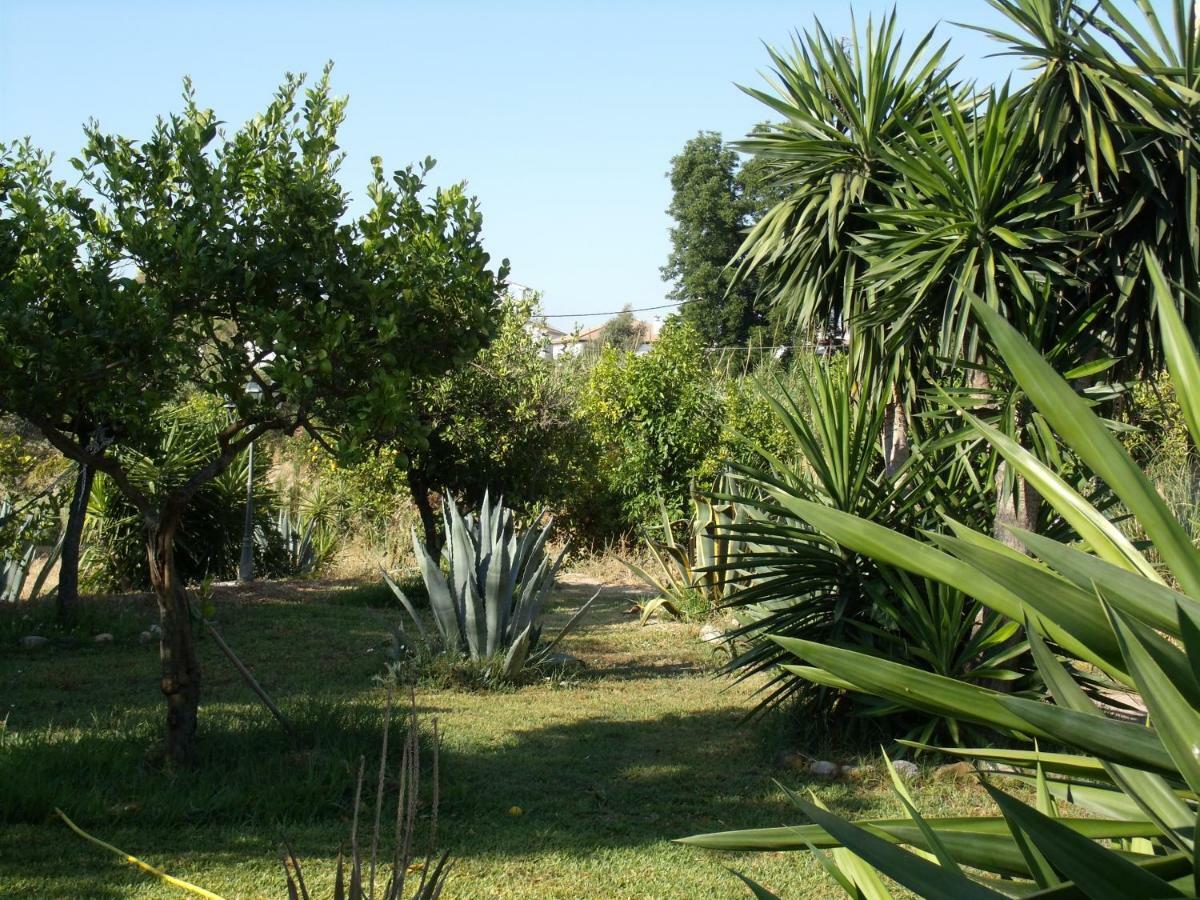 La Finca Blanca 알로라 외부 사진