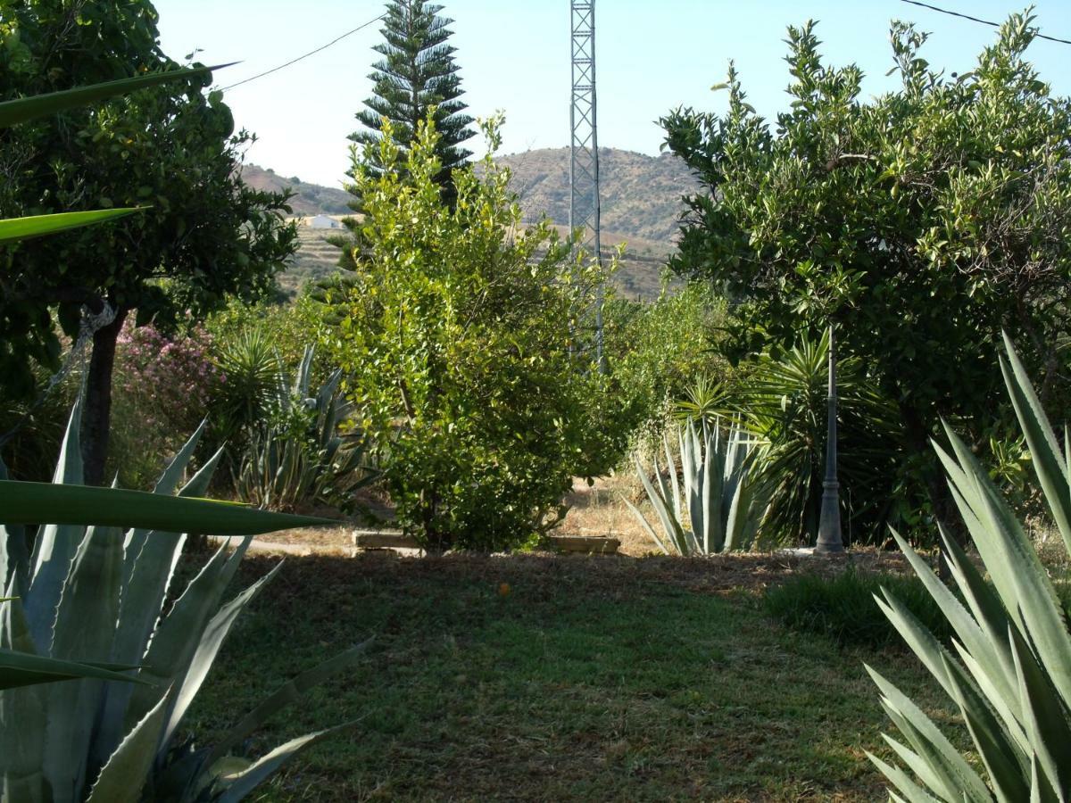 La Finca Blanca 알로라 외부 사진