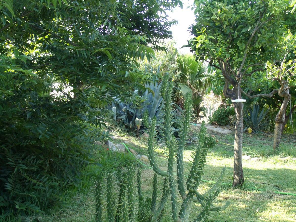La Finca Blanca 알로라 외부 사진